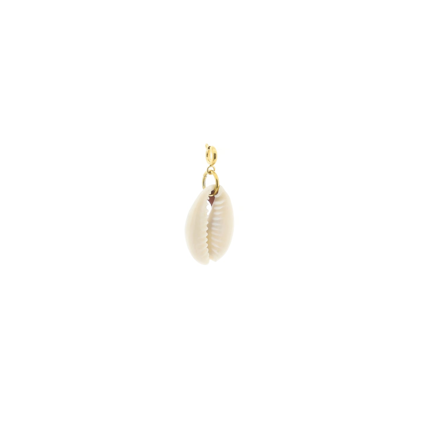 Hanger - kauri schelp